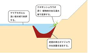 図－江の内部イメージ
