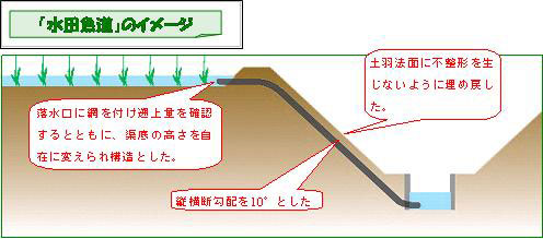 図－水田魚道のイメージ